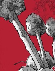 Truyện tranh Đại Dịch Tận Thế full - NetTruyen