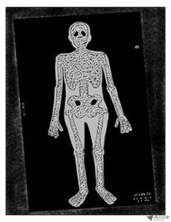 Truyện tranh Ký Sinh Trùng full - NetTruyen