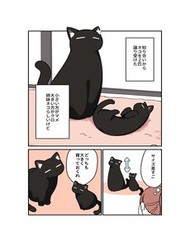 Truyện tranh Kuroneko No Ohanashi full - NetTruyen