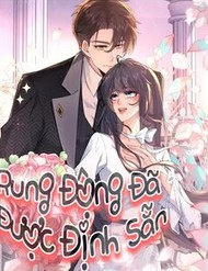 Truyện tranh Rung Động Đã Được Định Sẵn full - NetTruyen